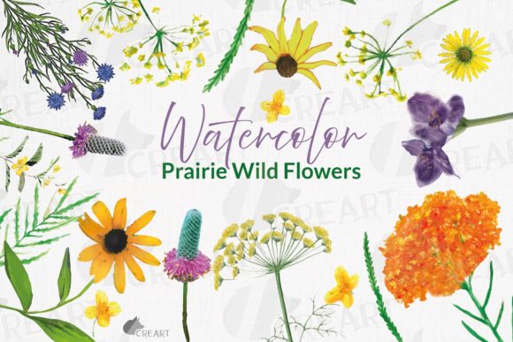 Your Digital Prairie: Exploring the Prairie Grasses and Wildflowers Clip Art Collection